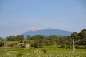  Vacances Vaison la Romaine  Вэзон-Ля-Ромэн